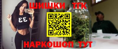 индика Краснознаменск