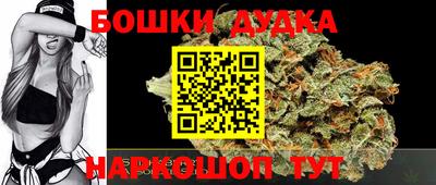 индика Краснознаменск
