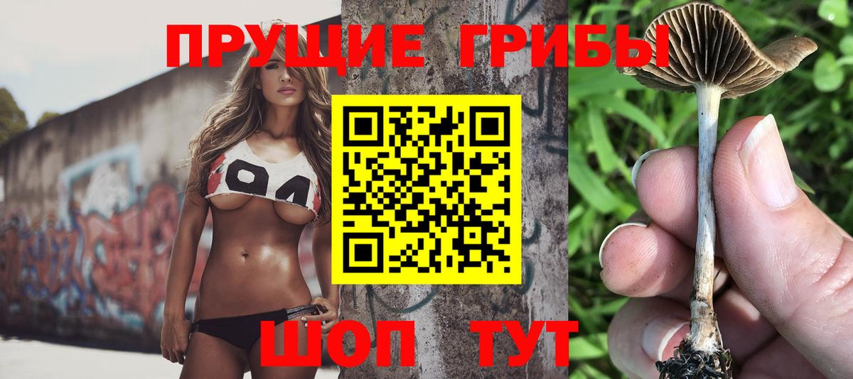 где продают наркотики  Галлюциногенные грибы мухоморы  Псилоцибиновые грибы мицелий  Вход с VPN  Хасавюрт 