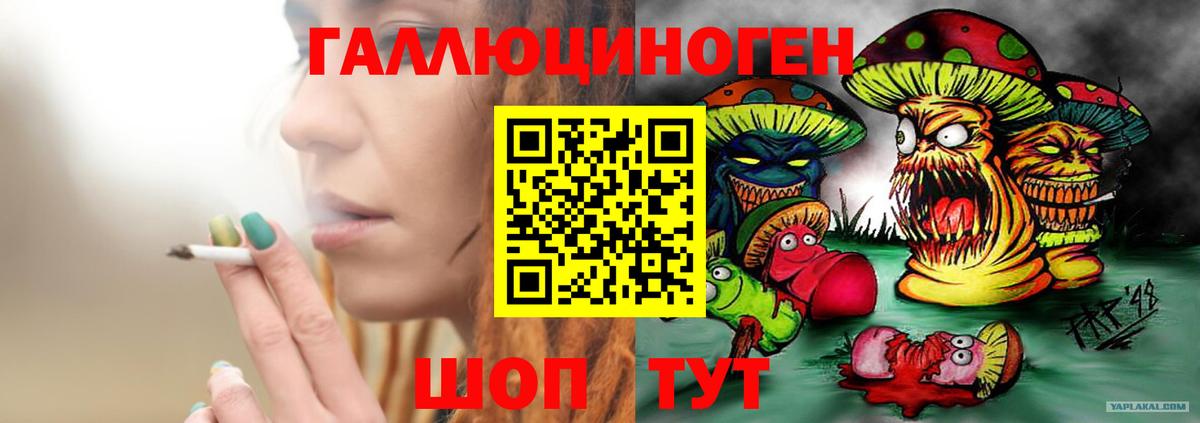 Галлюциногенные грибы мухоморы Хасавюрт